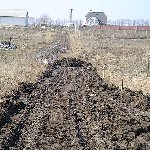 ������ �������� ����